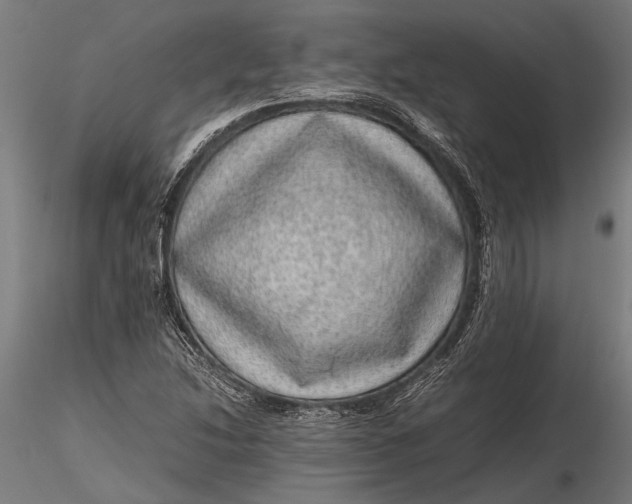 X0000116101214200912140949