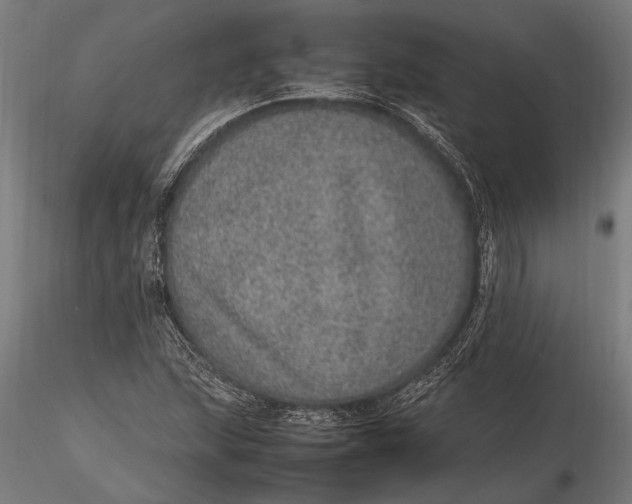 X0000116101215200912140949