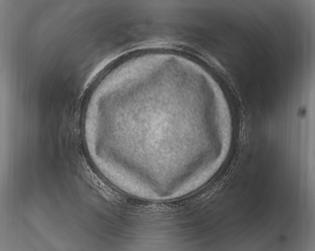 X0000116101216200912140949