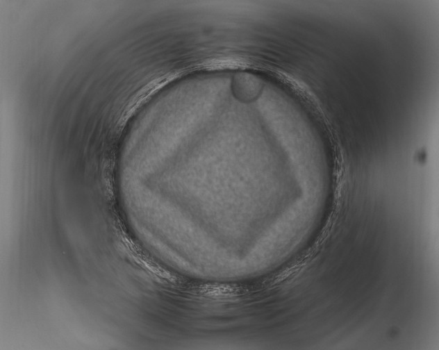 X0000116101217200912140949