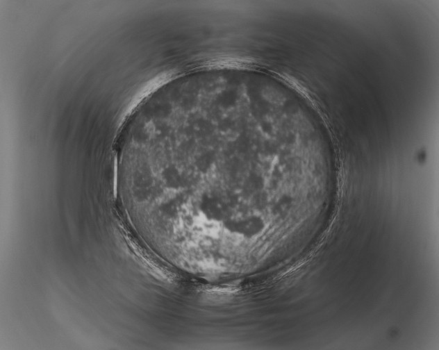 X0000116101219200912140949