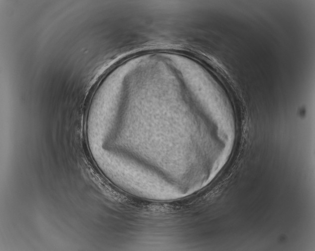 X0000116101220200912140949