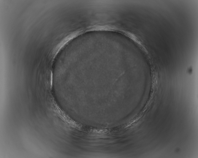 X0000116101221200912140949