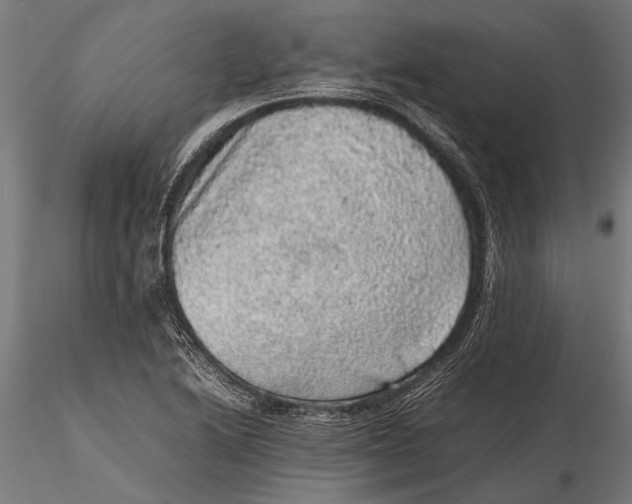 X0000116101222200912140949