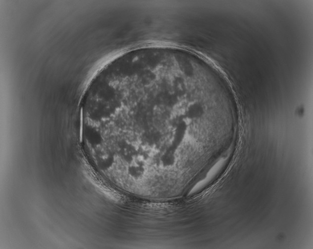 X0000116101223200912140949