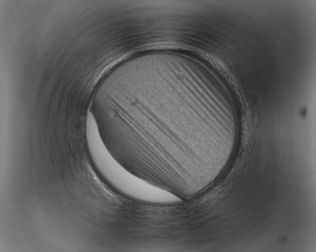 X0000116101225200912140949