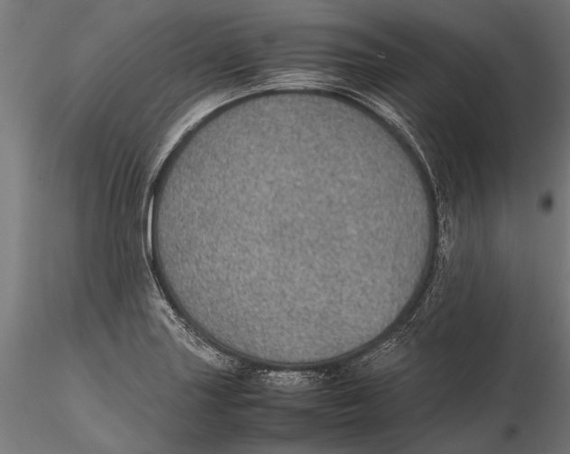 X0000116101227200912140949