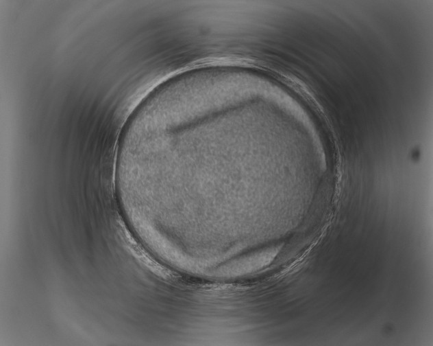 X0000116101228200912140949