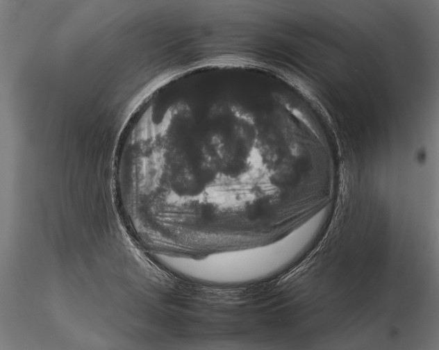 X0000116101229200912140949