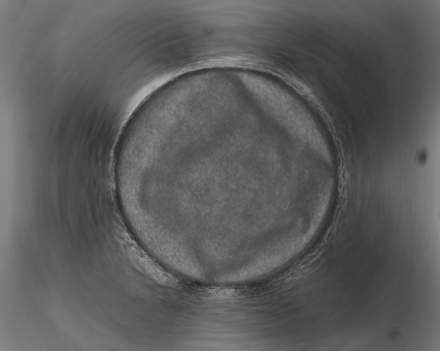 X0000116101230200912140949