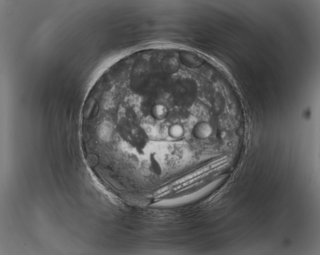 X0000116101231200912140949