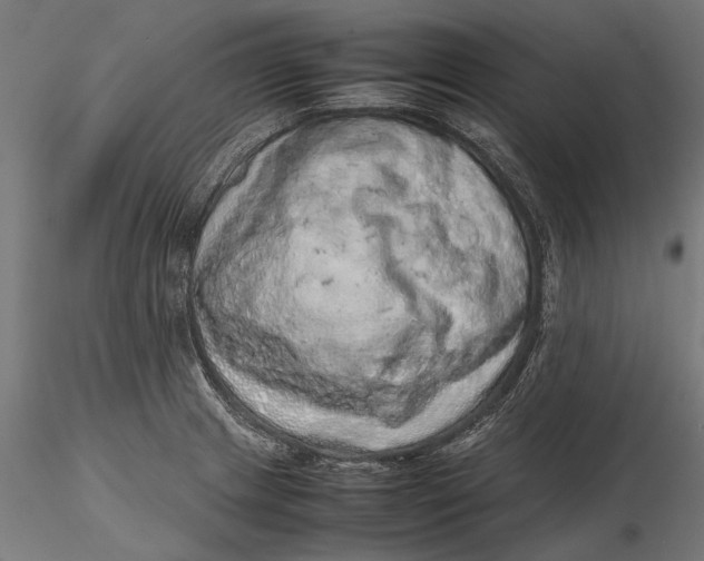 X0000116101233200912140949