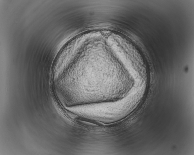 X0000116101234200912140949