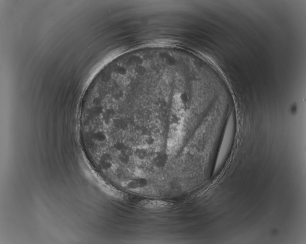 X0000116101235200912140949