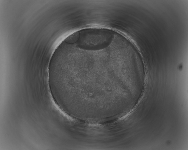 X0000116101239200912140949