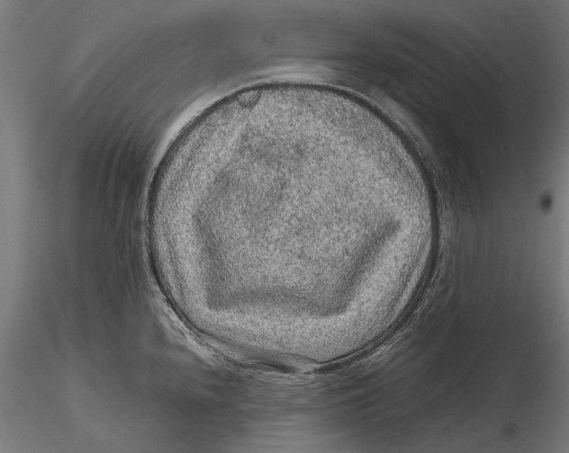 X0000116101240200912140949