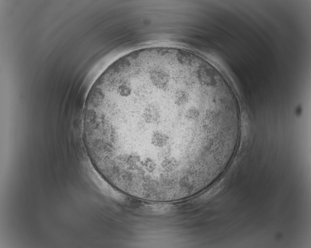 X0000116101244200912140949