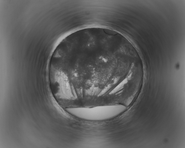 X0000116101246200912140949