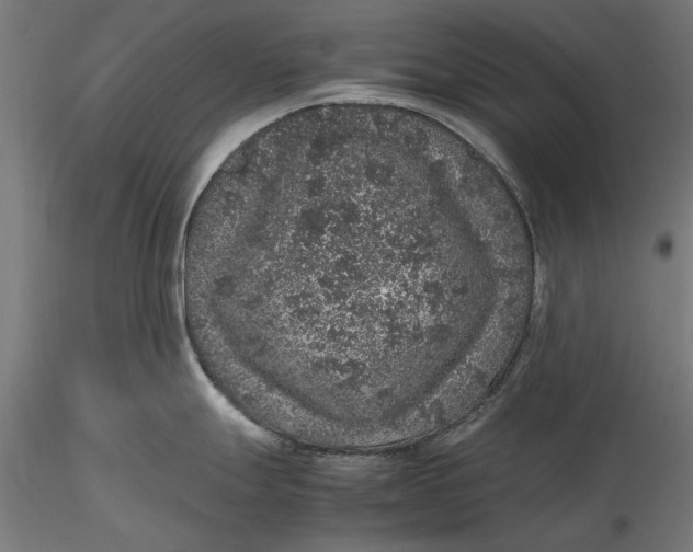 X0000116101247200912140949