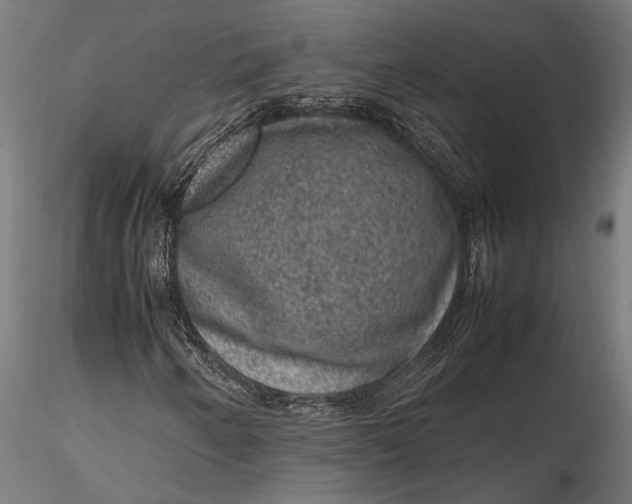 X0000116101250200912140949