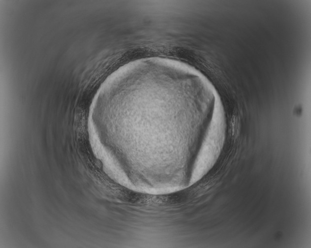 X0000116101251200912140949