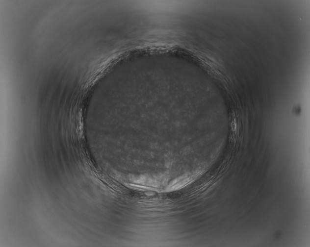 X0000116101252200912140949