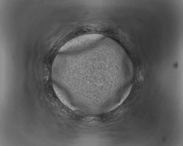 X0000116101253200912140949