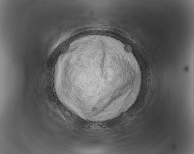 X0000116101255200912140949