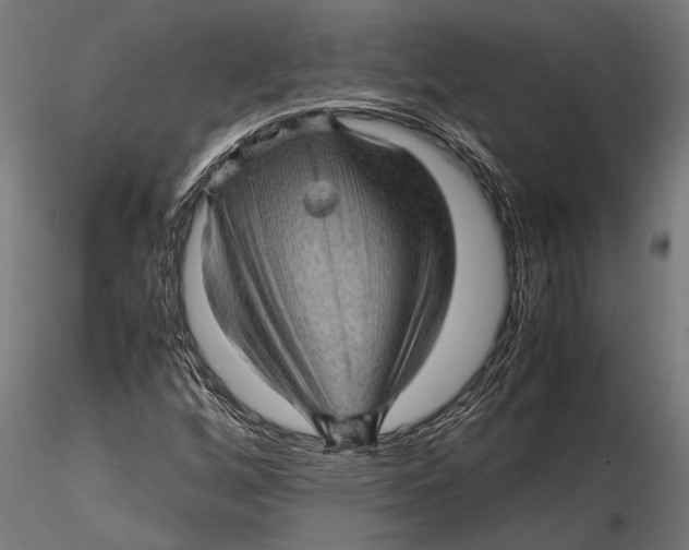 X0000116101256200912140949