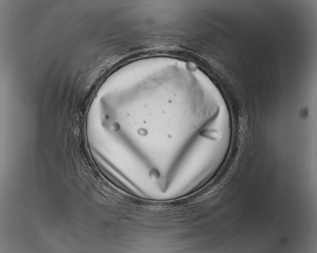 X0000116101257200912140949