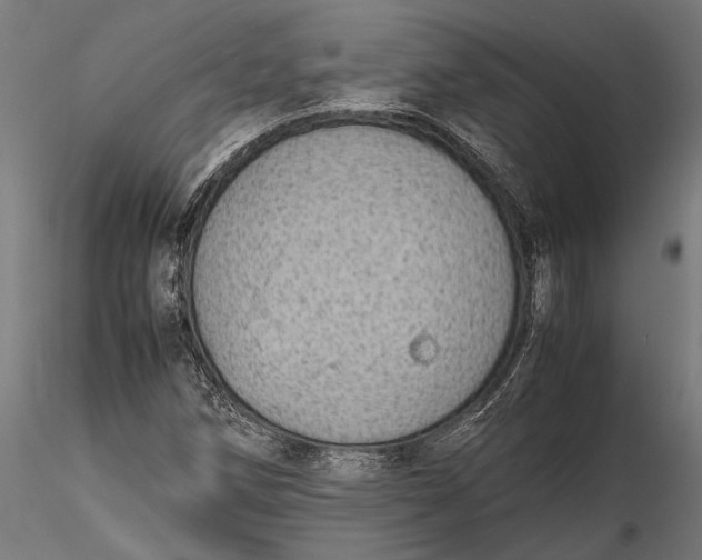 X0000116101258200912140949