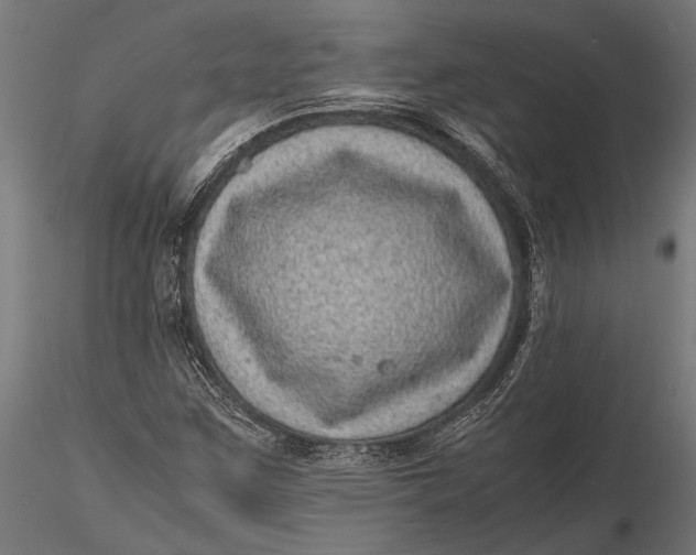 X0000116101259200912140949