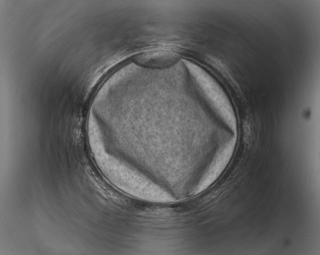 X0000116101260200912140949