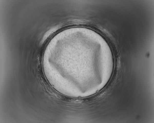 X0000116101261200912140949