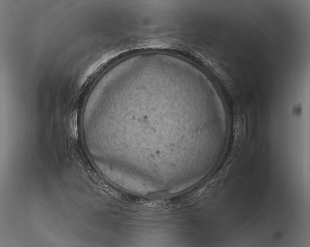 X0000116101262200912140948