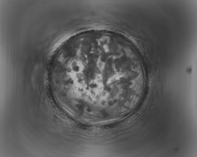 X0000116101263200912140948