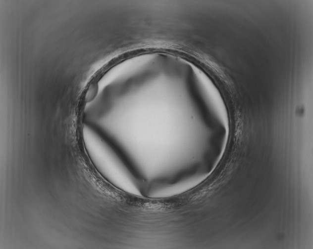 X0000116101264200912140948