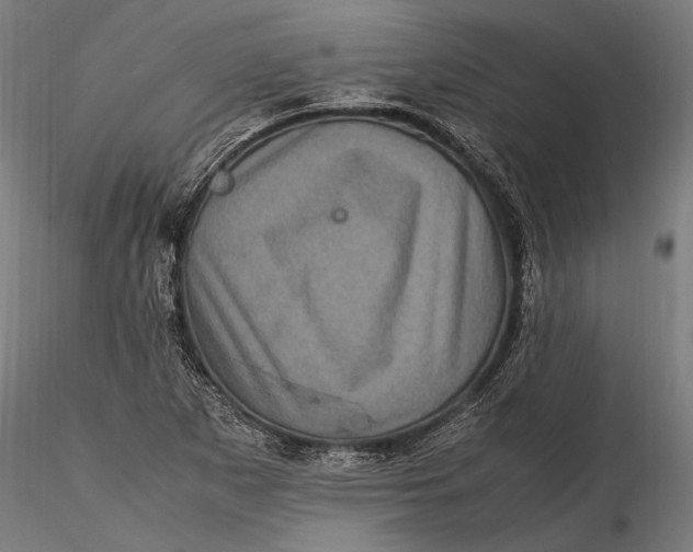 X0000116101265200912140948