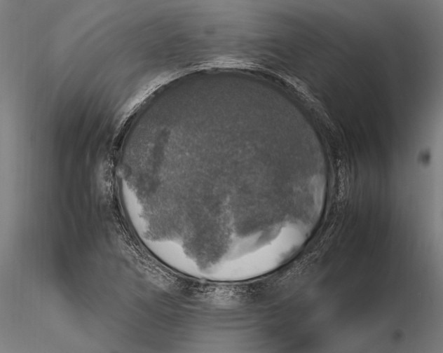 X0000116101266200912140948