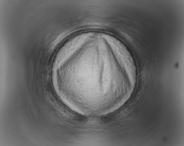 X0000116101267200912140948