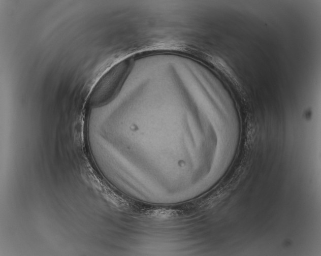 X0000116101268200912140948