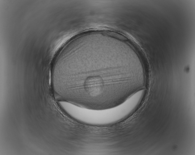 X0000116101269200912140948