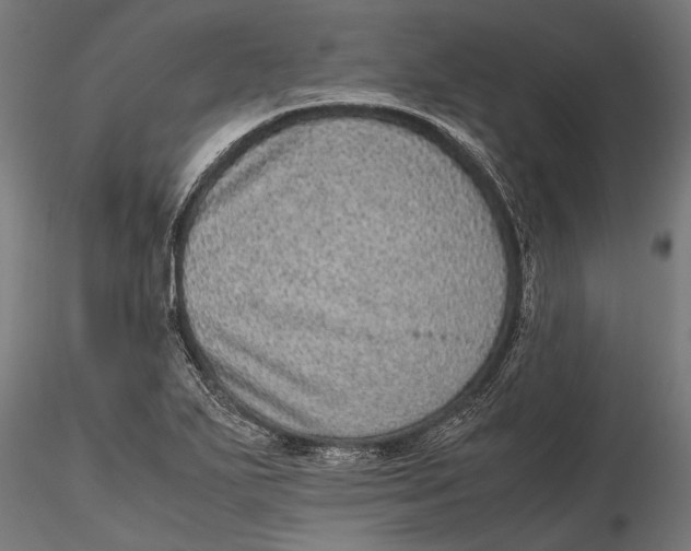 X0000116101271200912140948