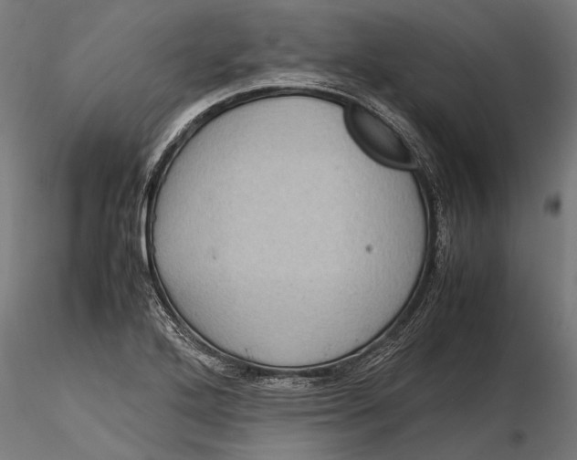 X0000116101272200912140948