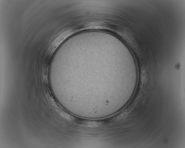 X0000116101273200912140948