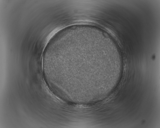 X0000116101275200912140948