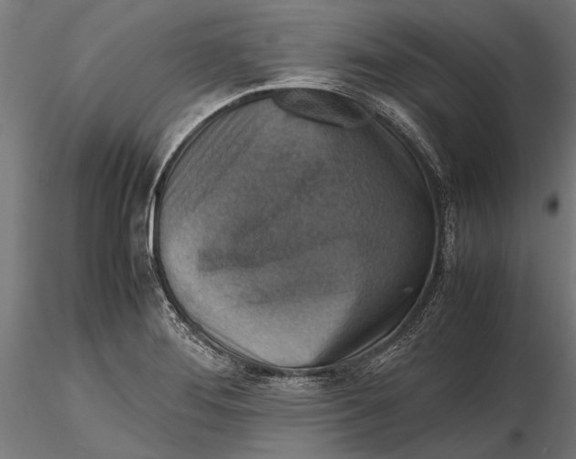 X0000116101276200912140948