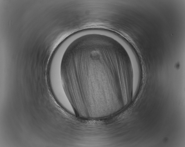 X0000116101277200912140948