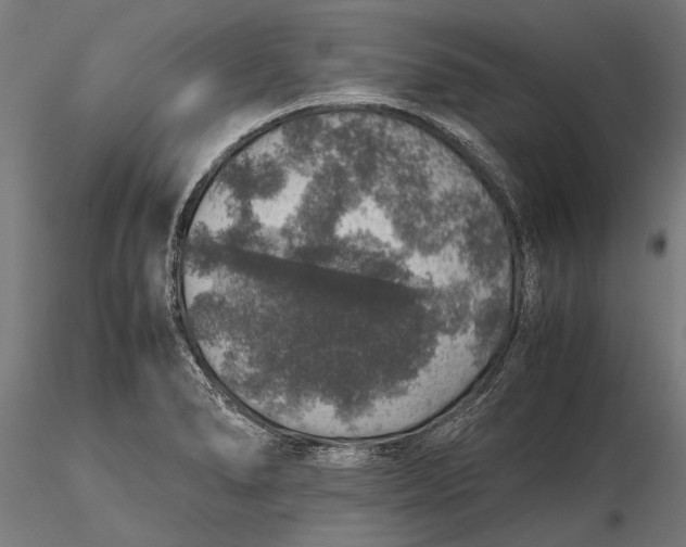 X0000116101278200912140948