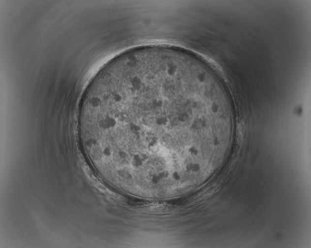 X0000116101279200912140948